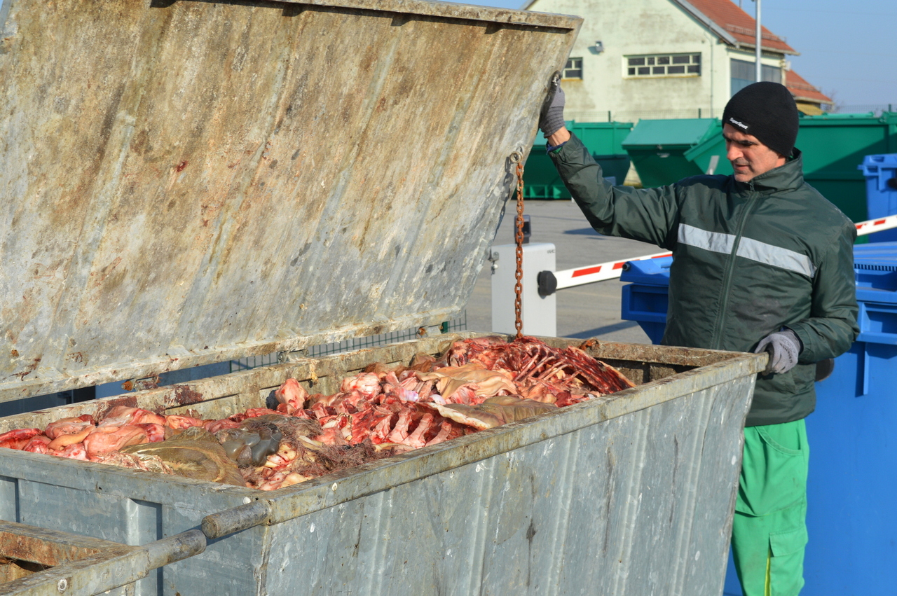 Spremnici za otpad od svinjokolje ponovno na Vitici