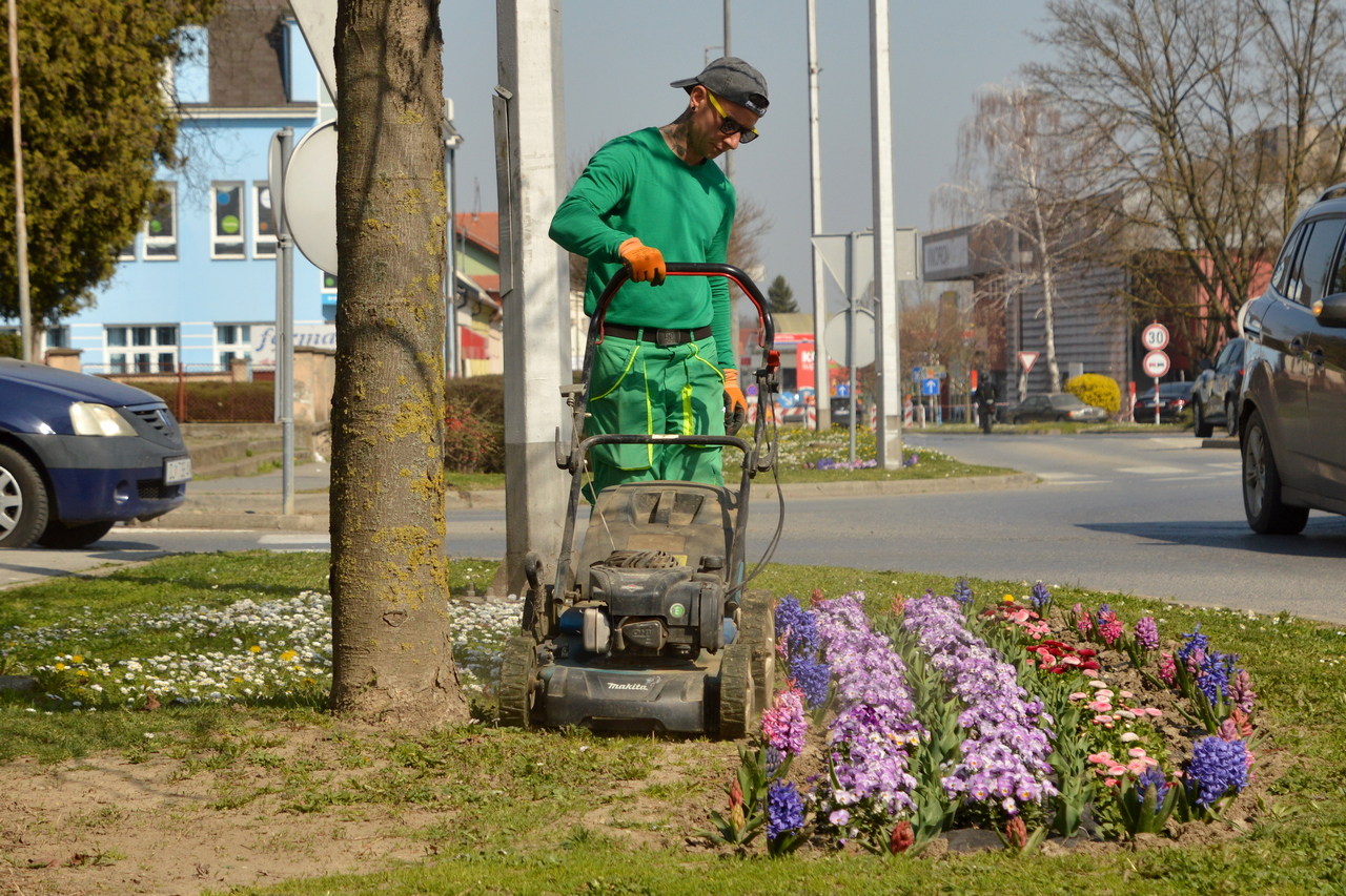 Proljetni radovi, rezidba stabala, bujanje cvijeća