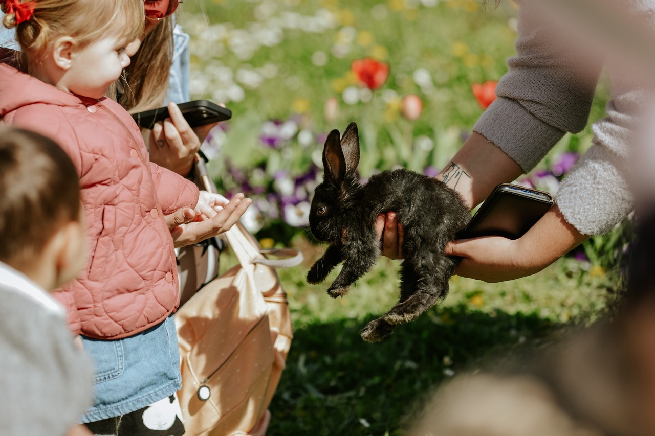 Umjesto ove, Uskrsni gastro fest na Veliku subotu